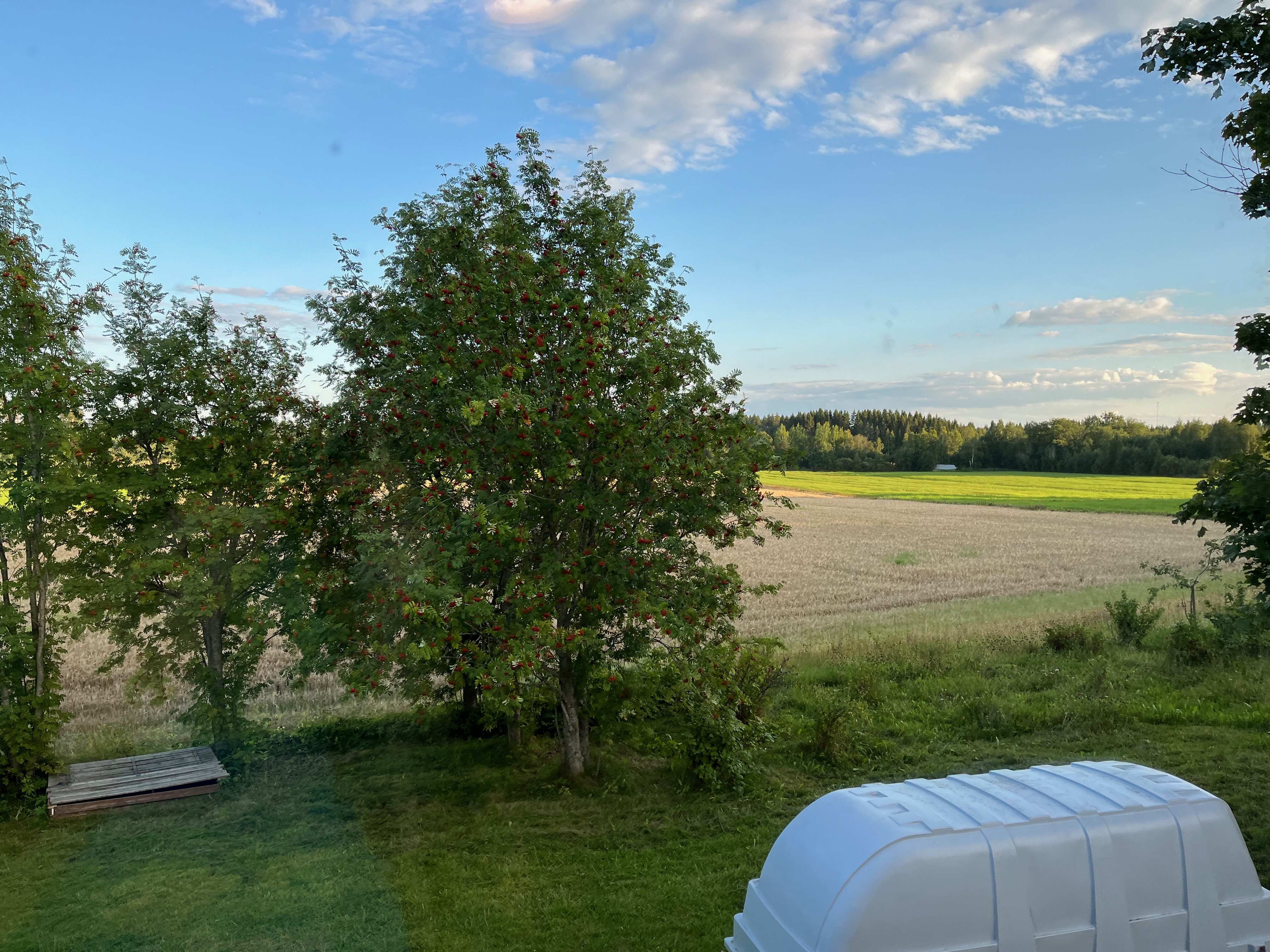 maisema ruokailutilasta.jpeg