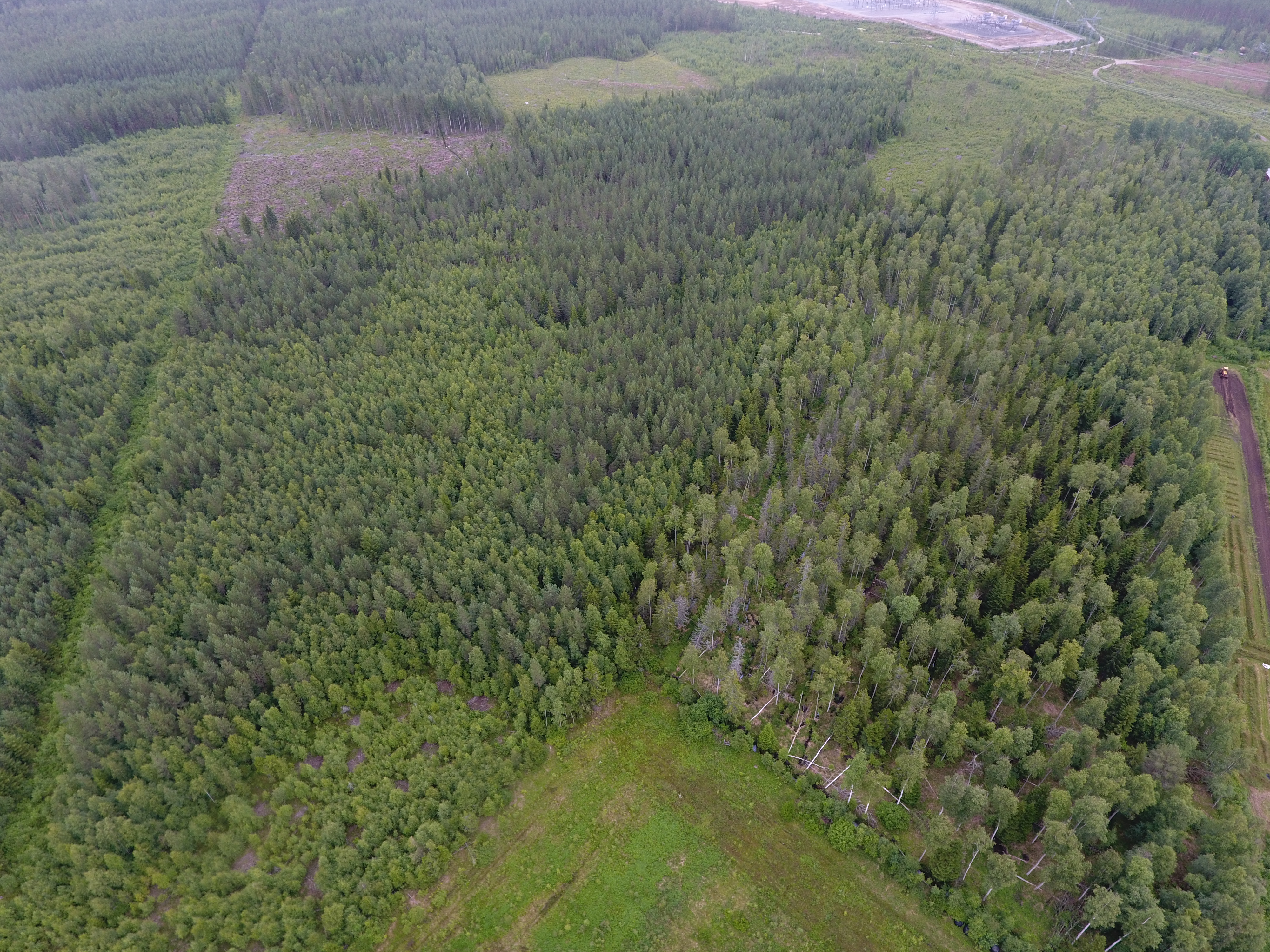 maa- ja metsäarvioinnit.JPG